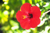 tkf001_769004