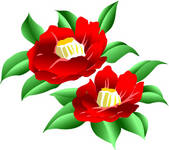 tkf001_779369