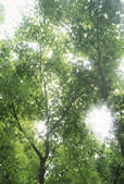 tkf001_788835