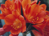 tkf001_792225