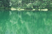 tkf001_794324