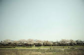 tkf001_794979