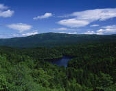 tkf001_797280