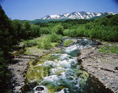 tkf001_797281
