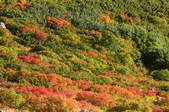 tkf001_797402