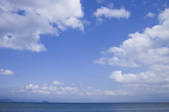 tkf001_797467