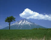 tkf001_797945