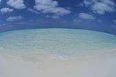 tkf001_805305