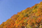 tkf001_807533
