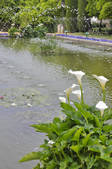 tkf001_807817