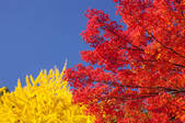 tkf001_807991