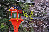 tkf001_808311
