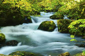 tkf001_809432