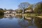 tkf001_810128