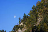 tkf001_813325