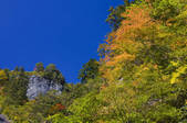 tkf001_813914