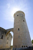 tkf001_814778