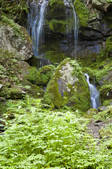 tkf001_815000