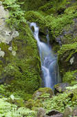tkf001_815001