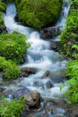 tkf001_815009