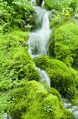 tkf001_815012