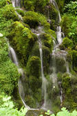 tkf001_815019