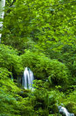 tkf001_815020