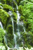 tkf001_815021