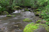 tkf001_815024