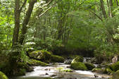 tkf001_815025
