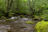 tkf001_815026