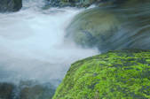 tkf001_815027