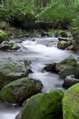 tkf001_815028