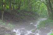 tkf001_815031