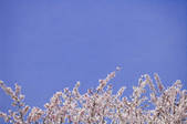 tkf001_815037