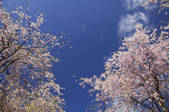 tkf001_815040