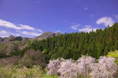 tkf001_815042