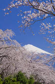 tkf001_815043