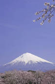 tkf001_815045