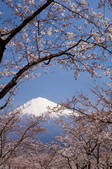 tkf001_815046