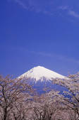 tkf001_815047