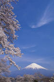 tkf001_815048