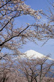 tkf001_815050
