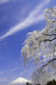 tkf001_815051