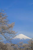 tkf001_815052