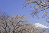 tkf001_815053