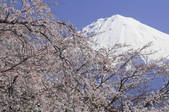 tkf001_815054
