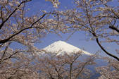 tkf001_815056