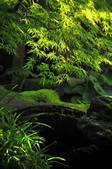 tkf001_815059