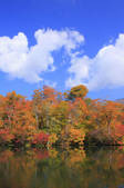 tkf001_815061